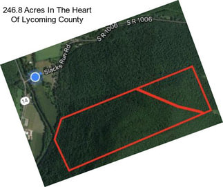 246.8 Acres In The Heart Of Lycoming County