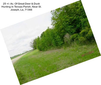 25 +/- Ac. Of Great Deer & Duck Hunting In Tensas Parish, Near St. Joseph, La, 71366