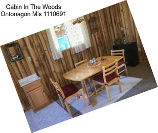 Cabin In The Woods Ontonagon Mls 1110691