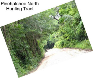 Pinehatchee North Hunting Tract