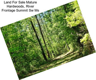 Land For Sale Mature Hardwoods, River Frontage Summit Sw Ms