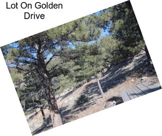 Lot On Golden Drive