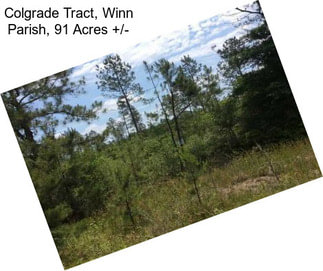 Colgrade Tract, Winn Parish, 91 Acres +/-