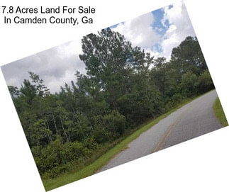 7.8 Acres Land For Sale In Camden County, Ga