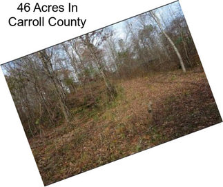 46 Acres In Carroll County