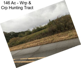 146 Ac - Wrp & Crp Hunting Tract