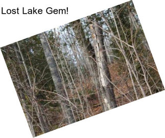 Lost Lake Gem!
