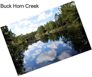Buck Horn Creek