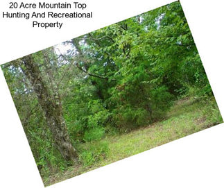 20 Acre Mountain Top Hunting And Recreational Property