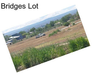 Bridges Lot