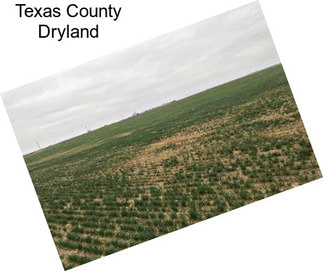 Texas County Dryland