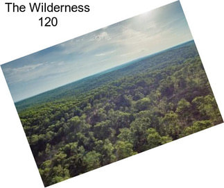 The Wilderness 120