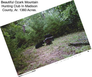 Beautiful Ozark Mountain Hunting Club In Madison County, Ar. 1360 Acres.