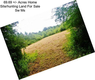 69.69 +/- Acres Home Site/hunting Land For Sale Sw Ms