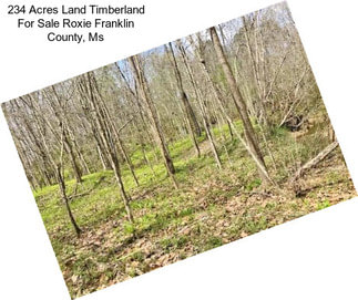 234 Acres Land Timberland For Sale Roxie Franklin County, Ms