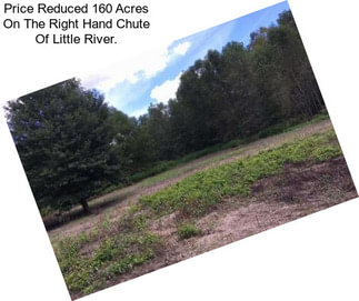 Price Reduced 160 Acres On The Right Hand Chute Of Little River.