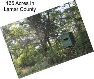 166 Acres In Lamar County