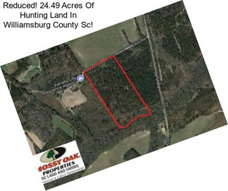Reduced! 24.49 Acres Of Hunting Land In Williamsburg County Sc!