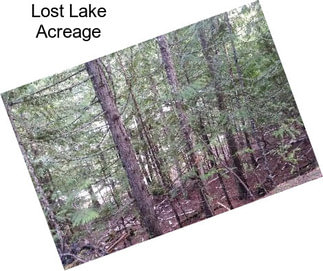 Lost Lake Acreage