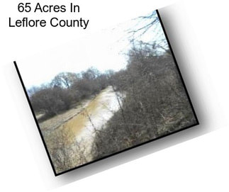 65 Acres In Leflore County