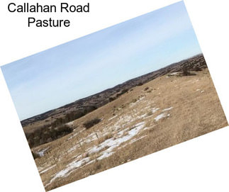 Callahan Road Pasture
