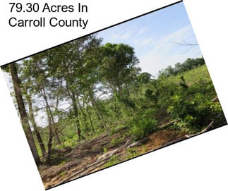 79.30 Acres In Carroll County