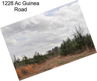 1228 Ac Guinea Road