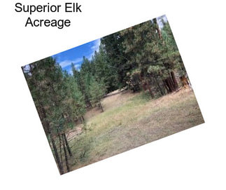 Superior Elk Acreage