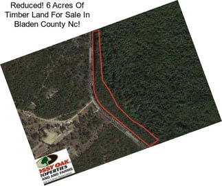 Reduced! 6 Acres Of Timber Land For Sale In Bladen County Nc!