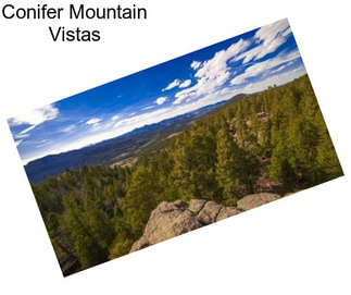 Conifer Mountain Vistas