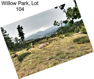 Willow Park, Lot 104