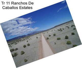 Tr 11 Ranchos De Caballos Estates