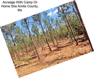 Acreage With Camp Or Home Site Amite County, Ms