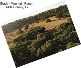 Black - Mountain Ranch, Mills County, Tx