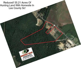 Reduced! 55.21 Acres Of Hunting Land With Homesite In Lee County Sc!