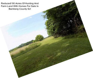 Reduced! 90 Acres Of Hunting And Farm Land With Homes For Sale In Bamberg County Sc!