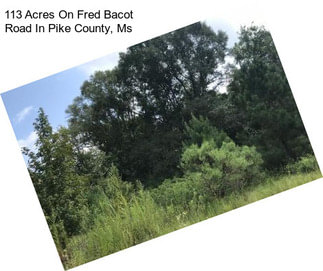 113 Acres On Fred Bacot Road In Pike County, Ms