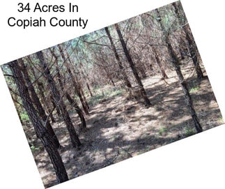 34 Acres In Copiah County