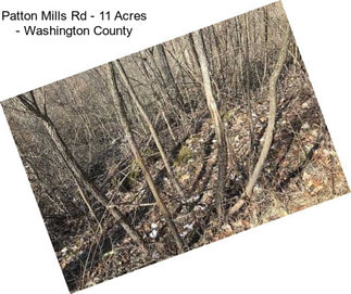 Patton Mills Rd - 11 Acres - Washington County