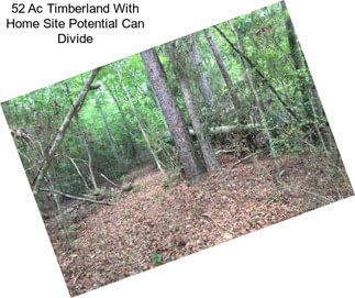 52 Ac Timberland With Home Site Potential Can Divide