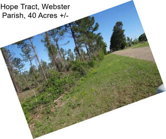 Hope Tract, Webster Parish, 40 Acres +/-