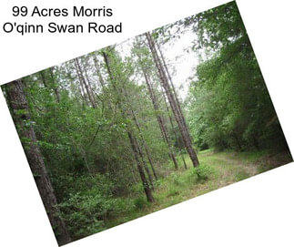 99 Acres Morris O\'qinn Swan Road