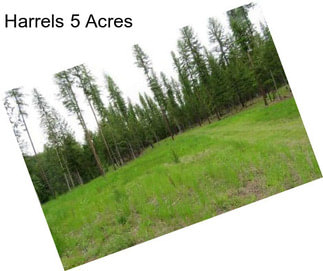 Harrels 5 Acres