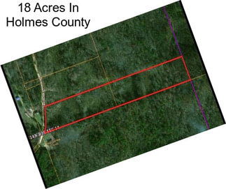 18 Acres In Holmes County
