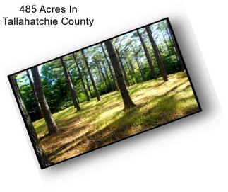 485 Acres In Tallahatchie County