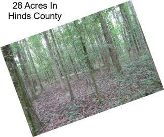 28 Acres In Hinds County