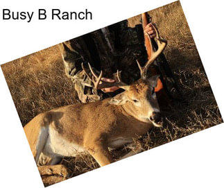 Busy B Ranch