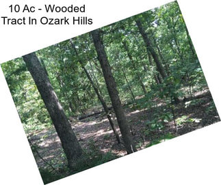 10 Ac - Wooded Tract In Ozark Hills