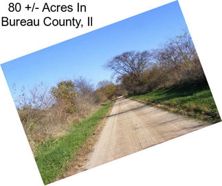 80 +/- Acres In Bureau County, Il