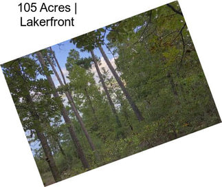 105 Acres | Lakerfront
